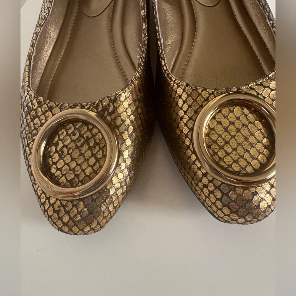 Anne Klein Women's Olivet Ballet Flat, Gold/Black color size 7
